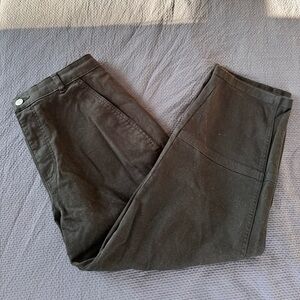 Everlane Utility Barrel Pant